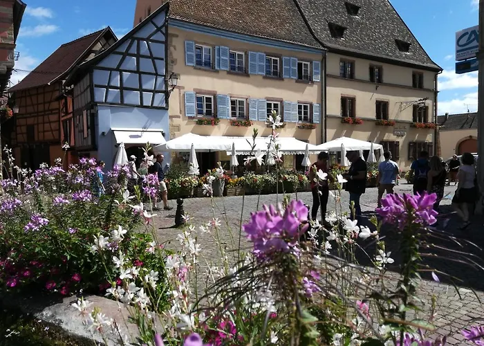 Gîte au château fleuri