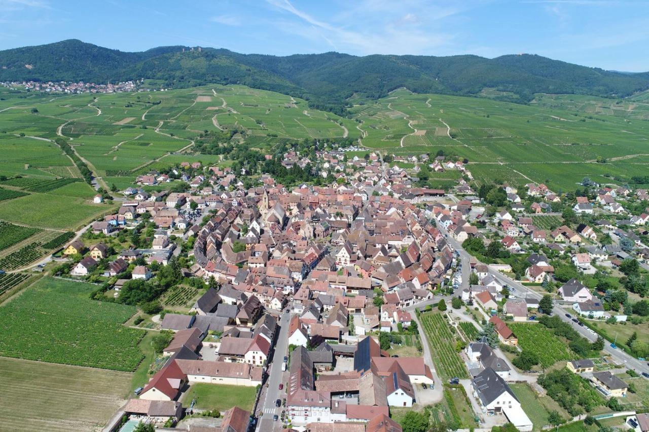 Au Chateau Fleuri * Eguisheim